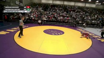 6A 110 lbs Quarterfinal - Taranom Zakeri, Mountain Ridge vs Presley Mataalii-Solomona, Westlake