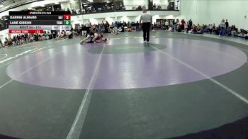 174 lbs Quarterfinal - Darrin Alward, Davenport vs Lane Gibson, Trine