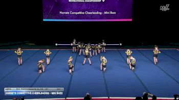Hornets Competitive Cheerleading - Mini Buzz [2026 L1 - Rec Performance Elite - 8Y Day 1] 2026 The Quest