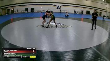 109 lbs Quarterfinal - Kylee Bentley, Hiram vs Bryn Sandhu, Northern Michigan University
