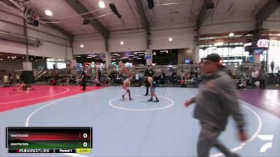 98 lbs Cons. Semi - Jordan Sanchez, Dead Shot Wrestling Club vs Braylee Brittainwinn, Wesley Club Wrestling