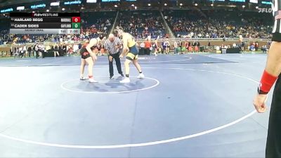 D2-285 lbs Semifinal - Harland Begg, Marshall HS vs Caden Sides, Gaylord HS