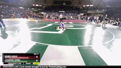 74 lbs 7th Place Match - Asher Harju, Anacortes Hawkeyes Wrestling Club vs Cameron James, Thunder Mountain Wrestling Club