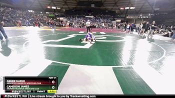 74 lbs 7th Place Match - Asher Harju, Anacortes Hawkeyes Wrestling Club vs Cameron James, Thunder Mountain Wrestling Club