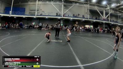 52 lbs Round 1 (4 Team) - Lincoln Memmo, Vipers Wrestling vs Gianni Puorro, Yale Street