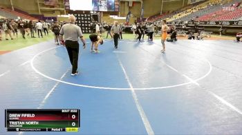 138 lbs Semifinal - Tristan North, Wisconsin vs Drew Fifield, Illinois