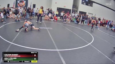 75 lbs Round 1 - Colton Rainey, Palmetto State Wrestling vs Kolt Collins, Dixie Hornets