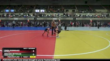 65 lbs Quarterfinal - Brecken Reynolds, Prairie Du Chien vs Owen Rodriguez, Mollitium