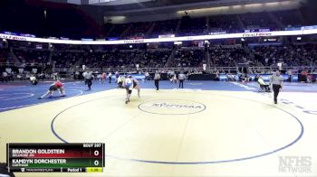 I-285 lbs Quarterfinal - Brandon Goldstein, Bellmore Jfk vs Kamdyn Dorchester, Carthage