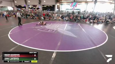 85 lbs Cons. Round 4 - Vinny Sapienza, NB Elite Wrestling Club vs Nixon Goodman, Cardinal Wrestling Club