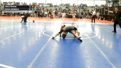 113 lbs Quarterfinal - Analu Woode, HI vs Ethan Andreula, NY