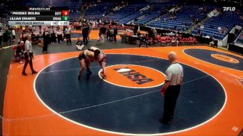 235 lbs 3rd Place Match - Phoenix Molina, Tolono (Unity) vs Lillian Disanto, Urbana (H.S.)