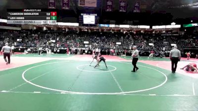 100 lbs Champ. Round 2 - Levi Hibbs, DONA vs Cameron Middleton, TLWA