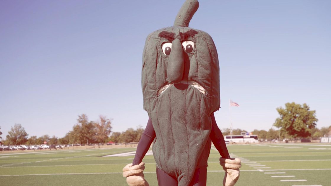 Delta State's Mascot: 𝐓𝐡𝐞 𝐅𝐢𝐠𝐡𝐭𝐢𝐧𝐠 𝐎𝐤𝐫𝐚