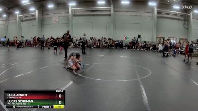 64 lbs Round 2 (8 Team) - Luca Amato, CTWHALE vs Lucas Schuman, Mat Assassins Red