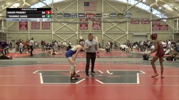 125 lbs Cons. Round 2 - Jabari Pinkney, Norwich vs Dominic Gangi, New England College