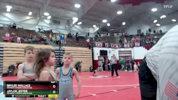 45 lbs Semifinal - Jaylon Jester, Midwest Xtreme Wrestling vs Brylee Wallace, Midwest Xtreme Wrestling