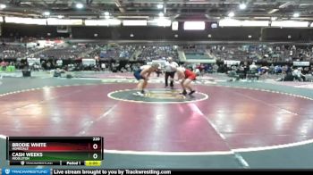 220 lbs Champ. Round 3 - Cash Weeks, Middleton vs Brodie White, Homedale