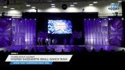Foursis Dance Academy - Foursis Dazzlerette Small Dance Team [2024 Youth - Contemporary/Lyrical - Small 1] 2024 JAMfest Dance Super Nationals