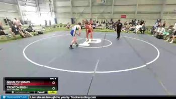 170 lbs Round 4 (6 Team) - Aiden Peterson, Ohio Scarlet vs Trenton Bush, West Virginia