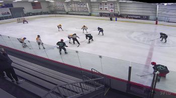 Replay: Home - 2025 Bloom vs Punisher | May 11 @ 9 AM