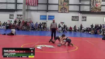 80 lbs Round 3 (4 Team) - Elias Taylor, DARKHORSE WRESTLING CLUB - GOLD vs Cole Littman, GREAT NECK WC