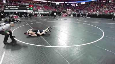138 lbs Cons. Quarters - Wyatt Sandoval, Arrowhead vs Will Freeborn, Wauwatosa West/East