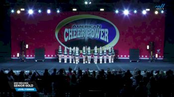 New York Icons - Senior Gold [2025 L3 Senior Day 2] 2025 Cheer Power Grand Nationals