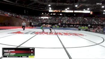 132 lbs Cons. Round 2 - Andre Green, Churchill County vs Gage Haines, Timberlake