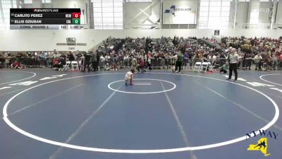 58 lbs Cons. Round 3 - Ellis Dziuban, Club Not Listed vs Carlito Perez, Mongoose Elite Wrestling