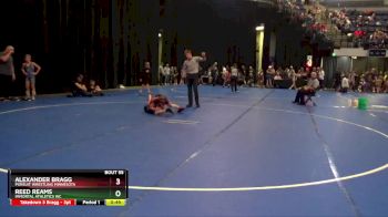 80 lbs Cons. Round 2 - Alexander Bragg, Pursuit Wrestling Minnesota vs Reed Reams, Immortal Athletics WC