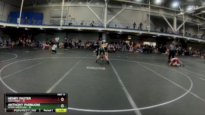 96 lbs Round 1 (4 Team) - Anthony Parbuoni, Vipers Wrestling vs Henry Paster, Yale Street