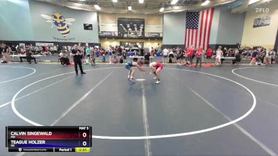 138 lbs Cons. Round 5 - Calvin Singewald, MN vs Teague Holzer, WI