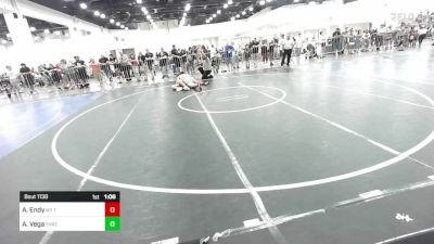 215 lbs Quarterfinal - Andrew Endy, No Team vs Andrew Vega, Threshold WC