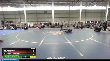 147 lbs Quarterfinal - Kc Bingham, West Minico vs Camden Harrison, All In Wrestling Academy