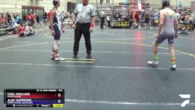 125 lbs Round 3 - Alex Hammond, Grand Rapids Grapplers vs Cael Hedlund, Ragin Raisins