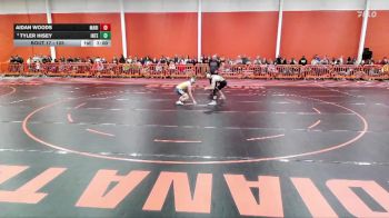 125 lbs Quarterfinal - Tyler Hisey, Indiana Tech vs Aidan Woods, Marian University (IN)