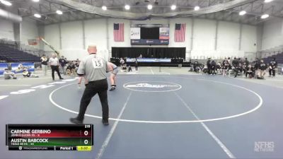 215 lbs Finals (4 Team) - Austin Babcock, Tioga Sr HS vs Carmine Gerbino, John H Glenn HS