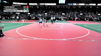 114 lbs Champ. Round 1 - Gavin Ashley, BTWA vs Vincenzo Peretti, Unattached