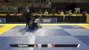 Buda Lelkes vs Joakim Arntsen 2025 Pan Jiu Jitsu IBJJF Championship