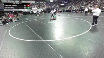 D2-138 lbs Semifinal - Ethan Immel, Kewaskum vs Antonio Sowell, Amery