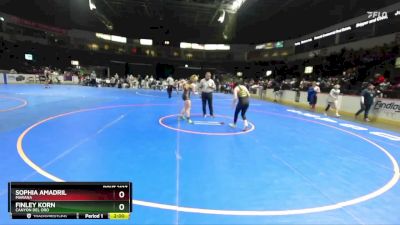 114 lbs Quarterfinal - Finley Korn, Canyon Del Oro vs Sophia Amadril, Marana