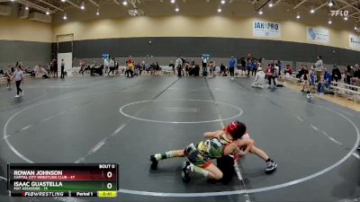 52 lbs Quarterfinal - Rowan Johnson, Capital City Wrestling Club vs Isaac Guastella, Mat Assassins