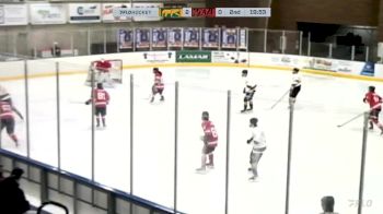 Replay: Home - 2025 CHI Cougars vs Blaze | Feb 22 @ 4 PM