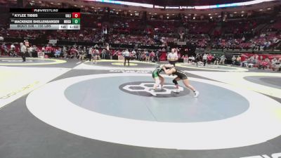 155 lbs Champ. Rd Of 16 - Mackenzie Shellenbarger, Mogadore vs KyLee Tibbs, Gah. Lincoln