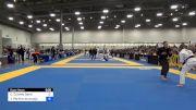 Carina Curvelo Santi vs Tayane Porfírio De Araújo 2024 World Masters IBJJF Jiu-Jitsu Championship