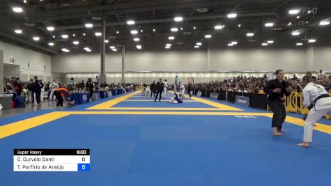 Carina Curvelo Santi vs Tayane Porfírio De Araújo 2024 World Masters IBJJF Jiu-Jitsu Championship