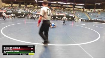 125 lbs Quarterfinal - 7 Conner Diamond, Lindsey Wilson vs 2 Brandon Orum, Life