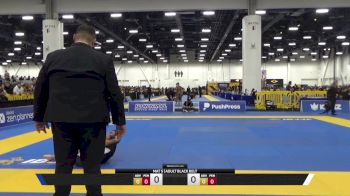 Angelo Sotelo vs Brandon Wilson 2025 World IBJJF Jiu-Jitsu No-Gi Championship