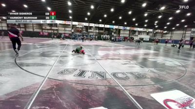65 lbs Round 5 - Harmony Markham, Unattached vs Ryker Sisneros, Camel Kids Wrestling
